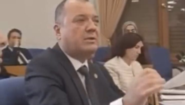 Aygun: Dağ Fare Doğurdu