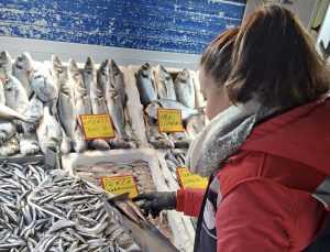 Balıkçılıkta Sürdürülebilirlik İçin Denetimler Artırıldı