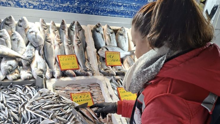 Balıkçılıkta Sürdürülebilirlik İçin Denetimler Artırıldı