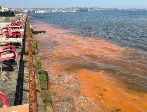 TEKİRDAĞ KIYILARINDA RENK DEĞİŞİMİ: ALG PATLAMASI