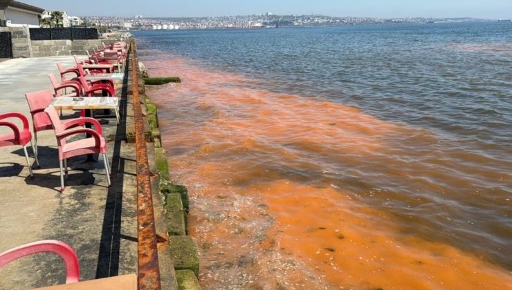 TEKİRDAĞ KIYILARINDA RENK DEĞİŞİMİ: ALG PATLAMASI