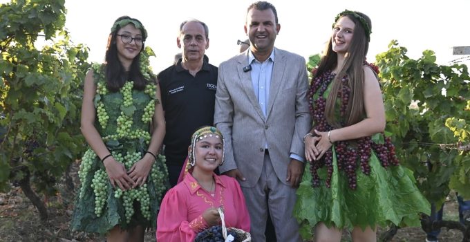 Süleymanpaşa’da Bağbozumu Coşkusu Yaşandı