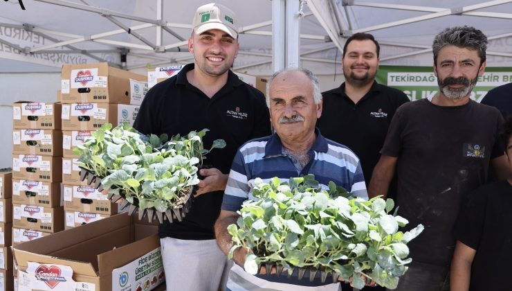 Tekirdağ’da 89 Üreticiye 104 Bin Kışlık Sebze Fidesi Desteği